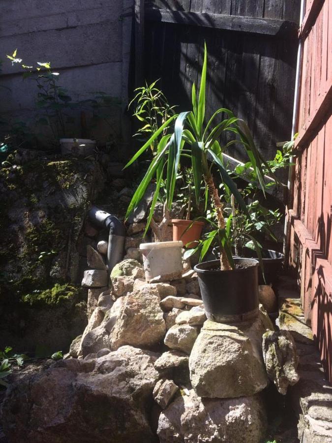 Casa Adrian Camere Centru Vechi Braşov Exteriör bild